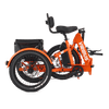 Viribus FC1 Folding Electric Tricycle