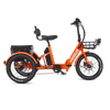 Viribus FC1 Folding Electric Tricycle