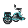 Viribus FC2 Folding Electric Tricycle