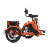 Viribus FC2 Folding Electric Tricycle
