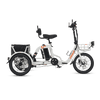 Viribus FC2 Folding Electric Tricycle