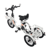 Viribus FC2 Folding Electric Tricycle