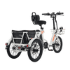 Viribus FC2 Folding Electric Tricycle