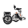 Viribus FC2 Folding Electric Tricycle