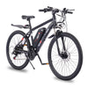 Viribus Panther Electric Mountain Bike