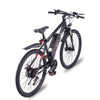 Viribus Panther Electric Mountain Bike