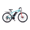 Viribus Panther Electric Mountain Bike
