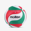 FLISTATEC Pro Volleyball - Size 5