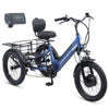 Viribus SC5 Fat Tire Electric Tricycle