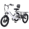 Viribus SC5 Fat Tire Electric Tricycle