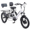 Viribus SC5 Fat Tire Electric Tricycle