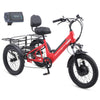 Viribus SC5 Fat Tire Electric Tricycle